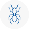 Ant Removals In Lower Edmonton