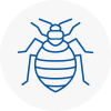Bed Bug Extermination In Lower Edmonton