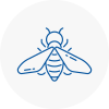 Bee Nest Removal Lower Edmonton