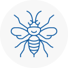 Lower Edmonton Hornet Nest Removals