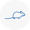 Mice Exterminators In Lower Edmonton