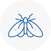 Moth Control Specialists In Lower Edmonton