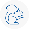 Lower Edmonton Rodent Removals