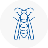 Lower Edmonton Wasp Nest Removal